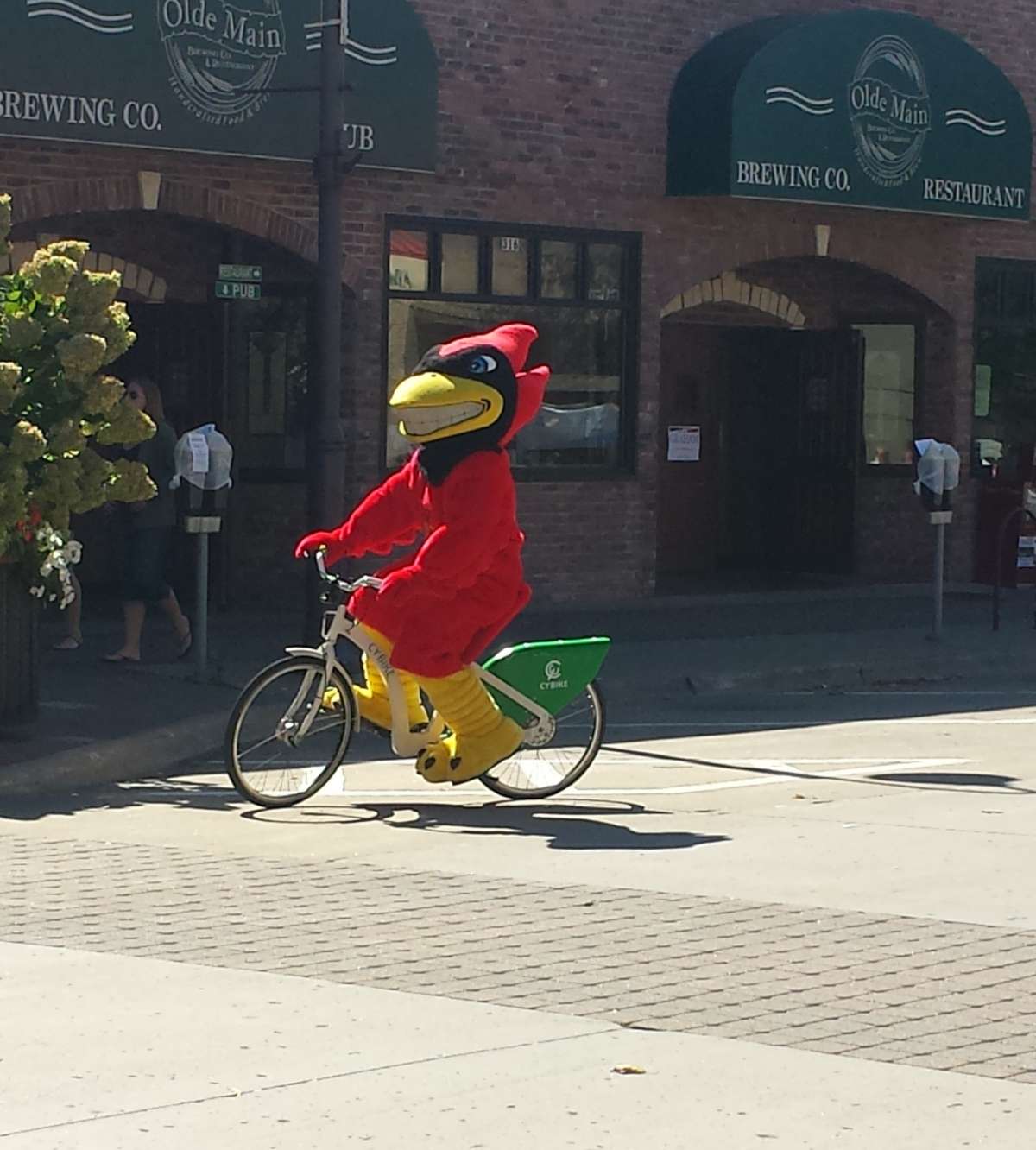 cy on bike